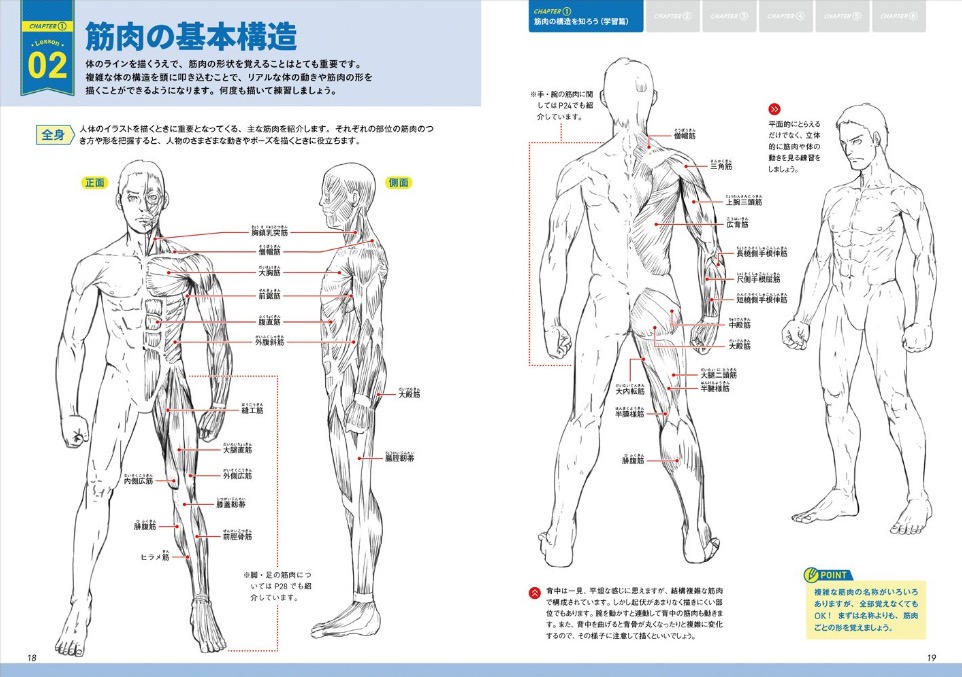 この本で今日から君もマッチョだ 筋肉の描き方 基本レッスン レンダリングヤッホーイ