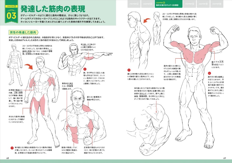 この本で今日から君もマッチョだ 筋肉の描き方 基本レッスン レンダリングヤッホーイ